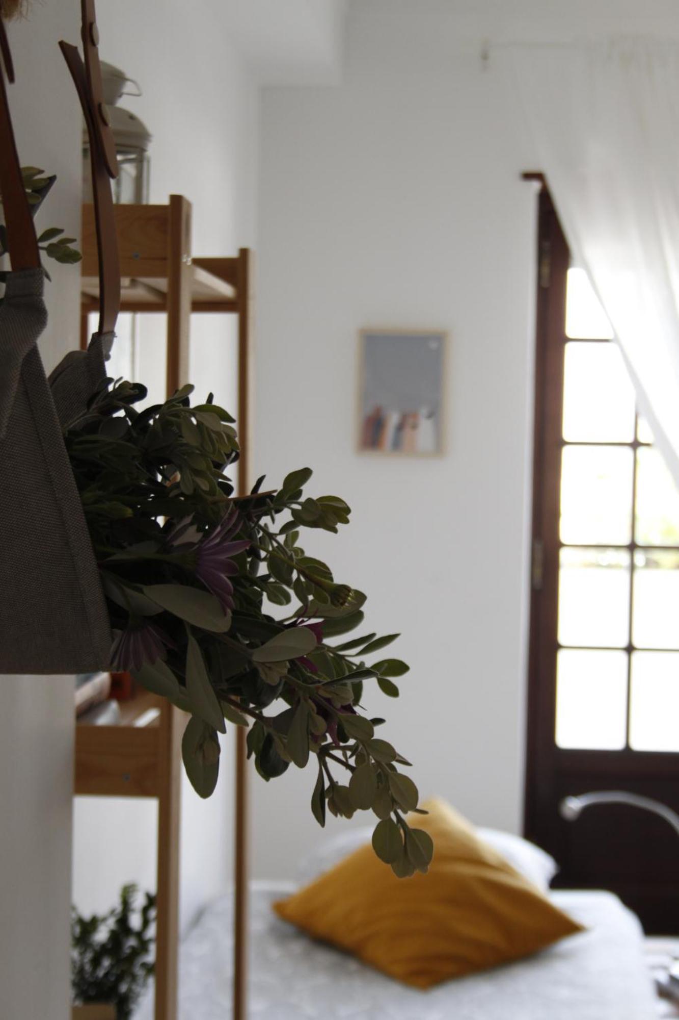 Boa Onda Guesthouse Atouguia Da Baleia Pokoj fotografie